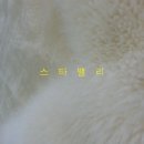 준세탁 이미지
