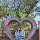씨유 사천서포중앙점 | 경남 사천 여행 1박2일, 사천 바다 케이블카 아라마루 아쿠아리움.