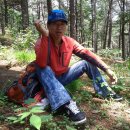 최백균카랜드 이미지