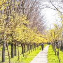 낙동제방 공원관리사무소옆 이미지