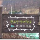 수원 광교산(528m) 나 홀로 우중 산행의 흔적과 후기 [2008.03.29] 이미지