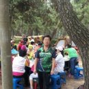 연곡해수욕장 Daum카페