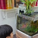 너머분식 이미지