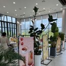 일월수목원카페데이지원 | 수원 데이트 코스 일월수목원 카페 - 데이지원 방문 후기 🌿☕🍓