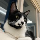 식빵공장 이미지