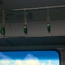 상수 목장 이미지