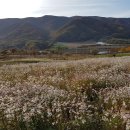 평화2리 이미지