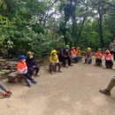 매화숲유치원 이미지