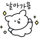 천동물병원 이미지