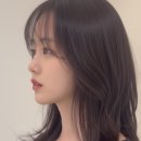 베체헤어