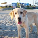 해랑방2 이미지