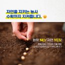 김제 친환경 비료로 농사 완전히 바뀐 썰