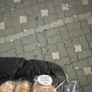 김포닭장수 화곡점 네이버블로그