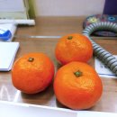 MILK PC방 | 카밀카(체리) 선생님과의 직관적 식사 코칭 후기