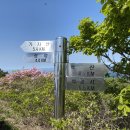 먹는샘물석남 | 1박2일 영남알프스 태극종주 백패킹 (1일차) : 석골사 ~ 억산 ~ 삼지봉 ~ 범봉 ~ 운문산 ~ 가지산...