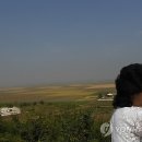 미곡농장 이미지