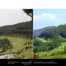 온그린 스크린골프 이미지