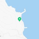 대운행정사 이미지