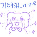 다온펫# 이미지