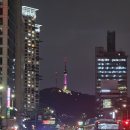 캠프통포레스트