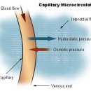 더나음 피티 이미지