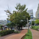 리얼클린족욕장