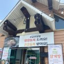 창원동읍맛집 주남연잎밥 삼계탕
