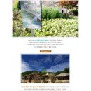 화이트프로포즈펜션 이미지