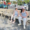 홍한의원 | 다누앤 X 센스홍 공동구매