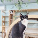 깜냥헤어 이미지