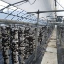 옥이농장 이미지