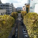 청능대로 이미지