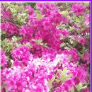 금강온천 이미지