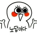 냥코센세 | 연산동 술집 냥코센세｜명란크림짬뽕 2차술집 추천 찐후기