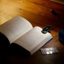 스테이 고요 이미지