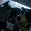 고선농장 이미지