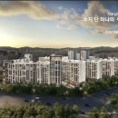수지디시