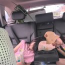 무주 풀빌라 옐로스톤 이미지