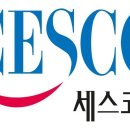 살리르