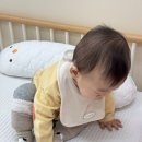 하온 | 광명 베이비스튜디오 찾는다면 하온스튜디오 (돌촬영 후기)