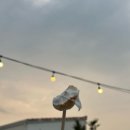 비토섬마린블루펜션 이미지