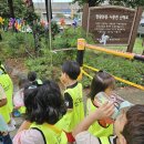 서부건강생활지원센터 | 새싹한걸음 어린이걷기 프로그램 - 안산서부건강생활지원센터