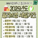 2025년도 올리브영 세일기간 이미지