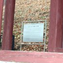 송집수효자각 이미지