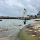 씨랜드펜션 이미지