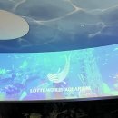 롯데 | 잠실 롯데 아쿠아리움 후기 할인 입장권 특가 주차 정보