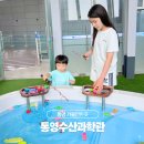 척포길 | 통영 가족여행 아이와 가볼만한곳 수산과학관 실내 관람 후기
