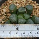 영문농장 이미지