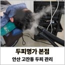 주식회사 인첸시아 안산 두피명가 본점, 두피관리 받고 온 후기