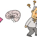 디앤디(D&D) 이미지